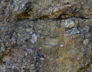 岩石表面