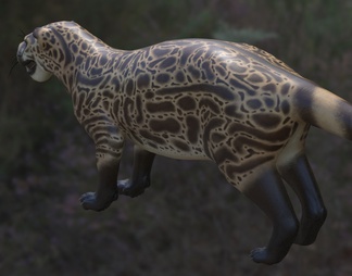 北美洲父猫牛鬣兽科生物动物