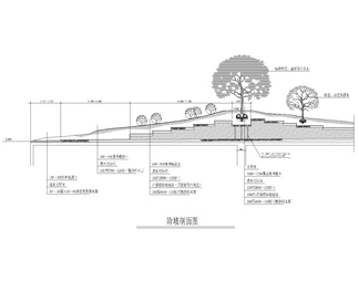 台阶坡道CAD