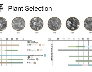 景观植物分析图psd