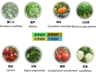 景观植物分析