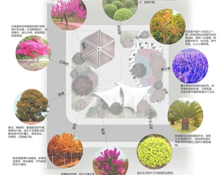 景观植物分析图psd