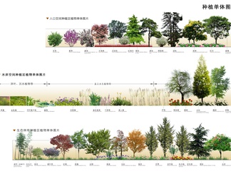 景观植物分析图psd