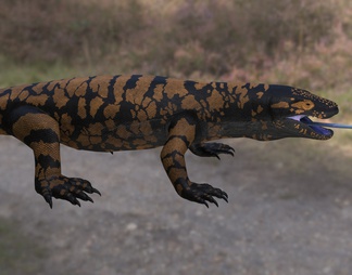 鳞龙之光古萨尼瓦蜥 巨蜥蜴 史前生物动物