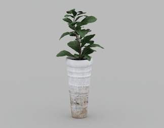 花瓶绿植盆栽