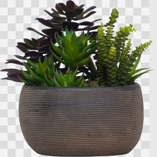 盆栽植物贴图 盆栽植物3d贴图 3dmax盆栽植物贴图下载-青墨3d贴图库