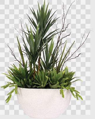 盆栽植物贴图 盆栽植物3d贴图 3dmax盆栽植物贴图下载-青墨3d贴图库