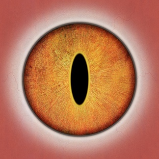 人体粉贴图 人体粉3d贴图 3dmax人体粉贴图下载-青墨3d贴图库