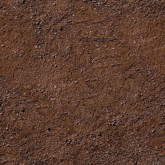 肌理生物理植样纹植样纹