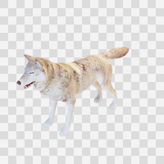 动物贴图 动物3d贴图 3dmax动物贴图下载-青墨3d贴图库