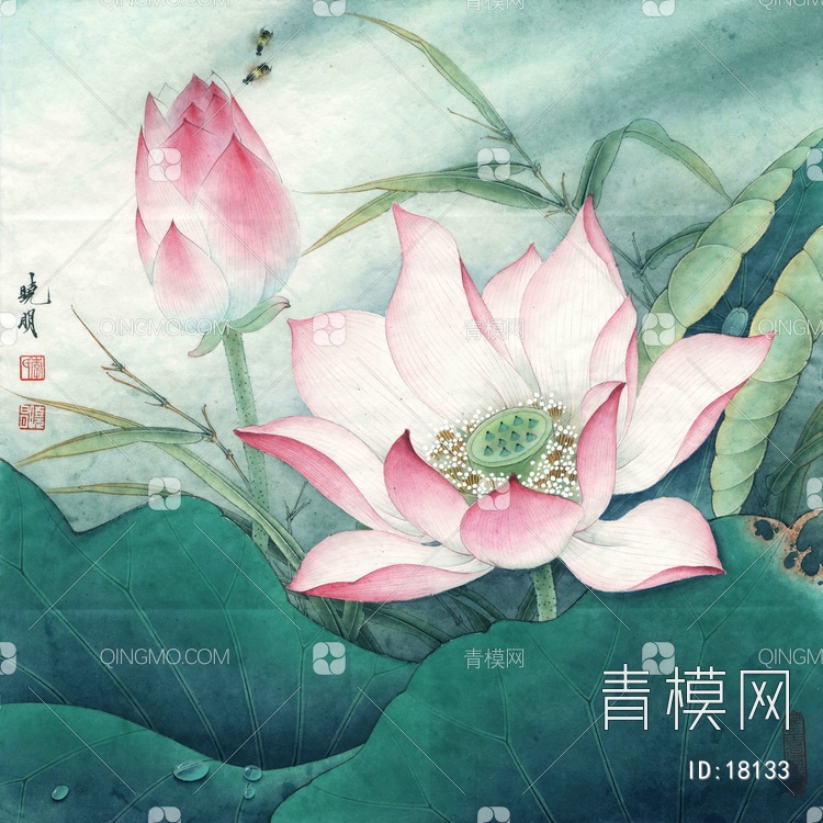 水上芙蓉