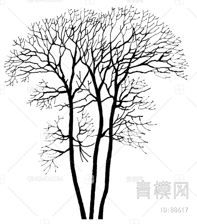 关键字: 灰白大尺寸jpg 黑白贴图凹凸黑白贴图库 凹凸黑白贴图