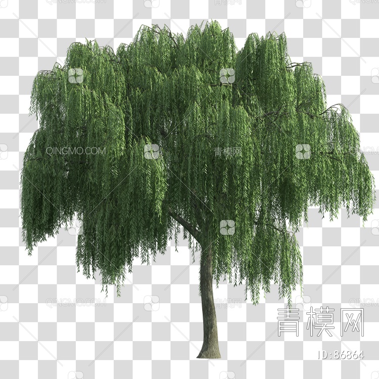 植物树