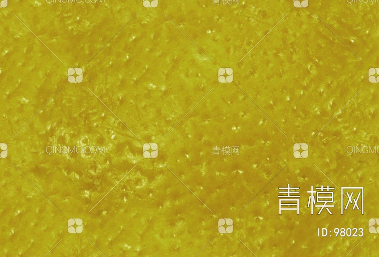 肌理水果贴水果 (3)