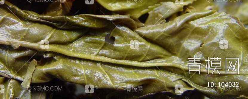 肌理生物理植样纹植样纹