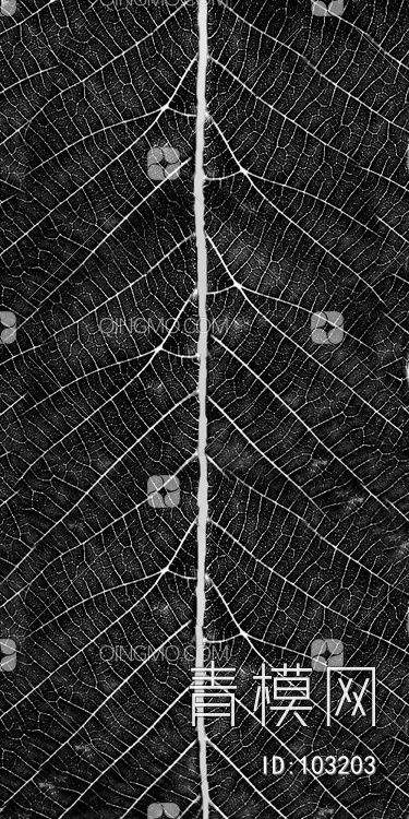 肌理生物理植样纹植样纹 (419)