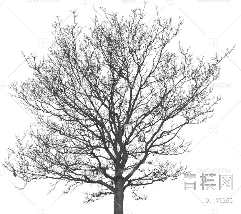 树影凹凸黑白贴图