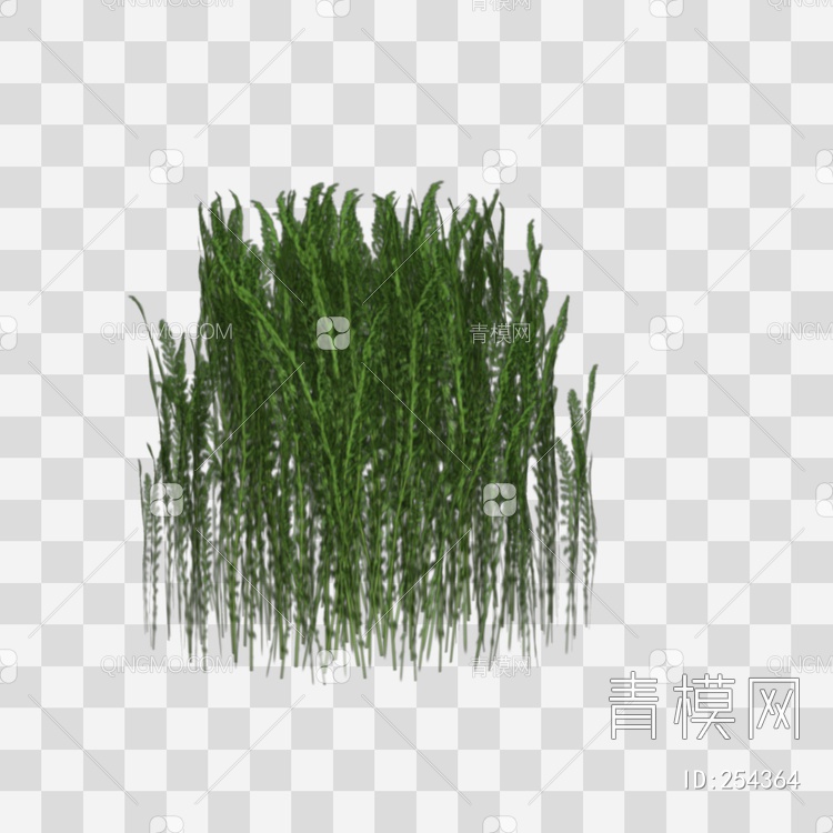 草