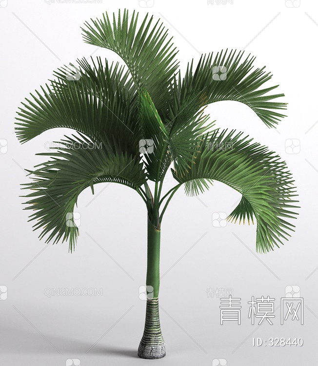 關鍵字: 大尺寸jpg灰白綠 棕櫚植物3d模型 棕櫚