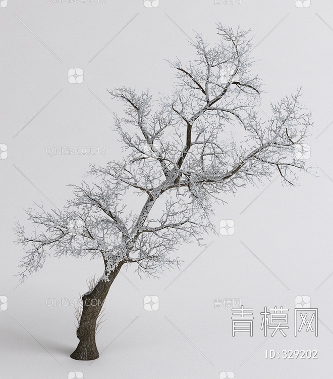 树雪景树