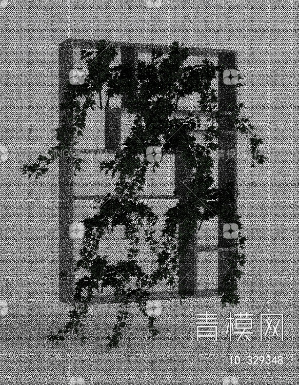 植物墙