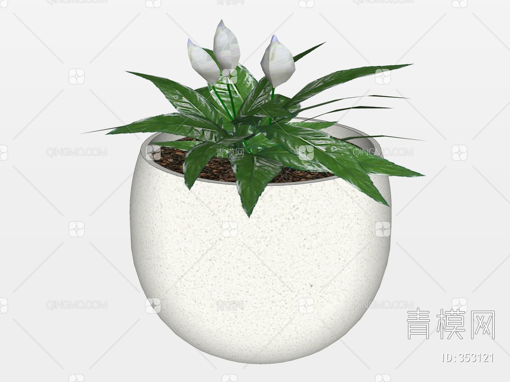 盆栽植物