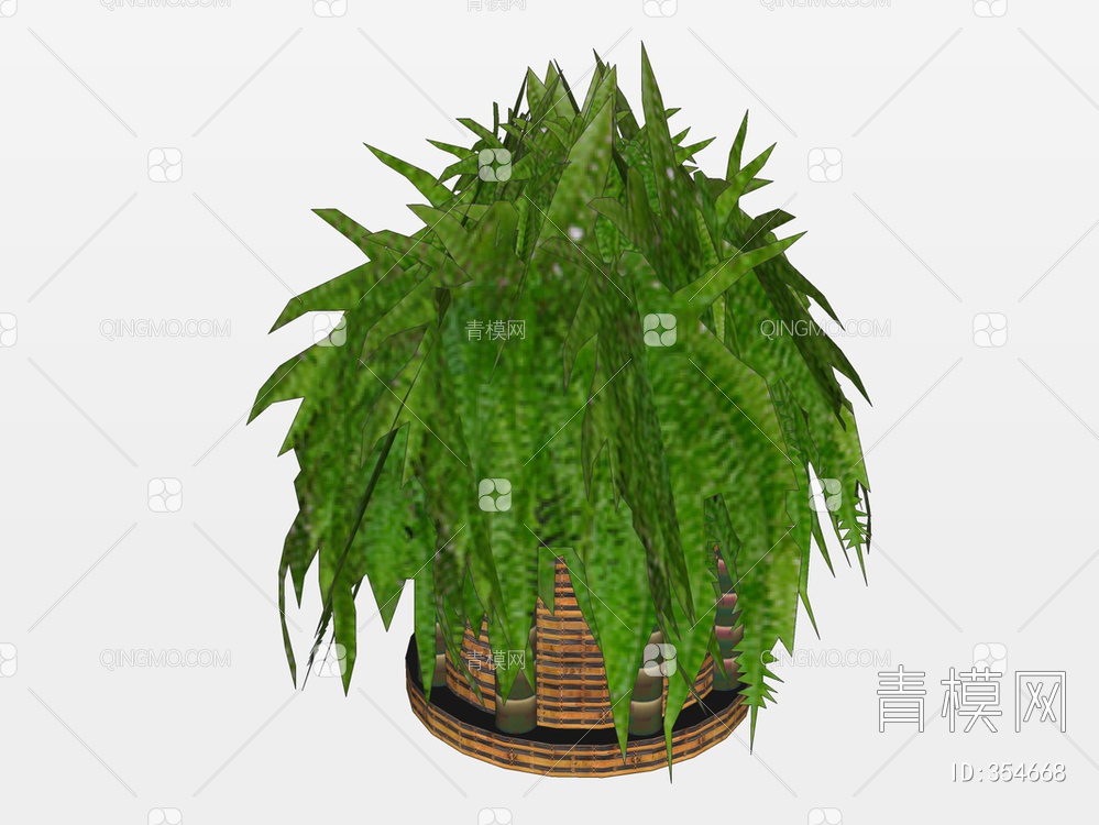 植物盆栽