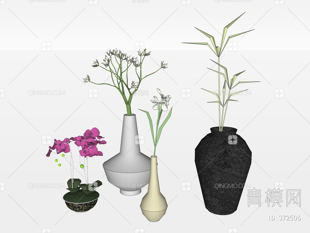 装饰类盆栽植物花卉