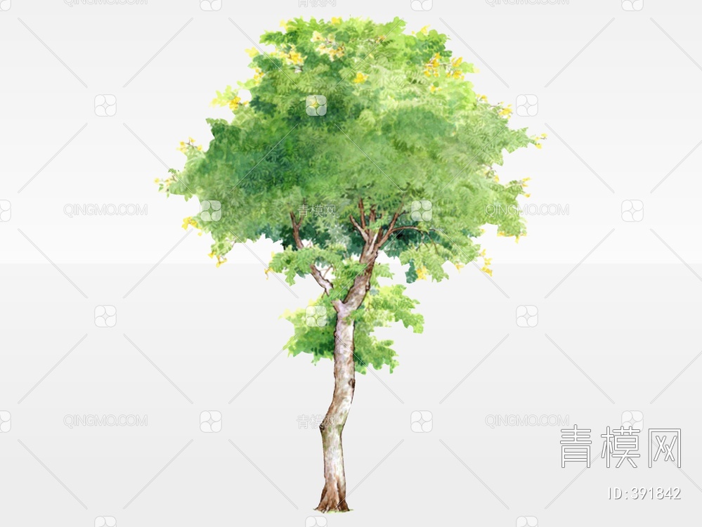 树