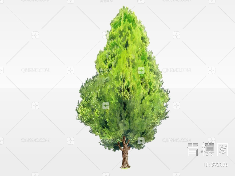 手绘乔木  树 2D树木