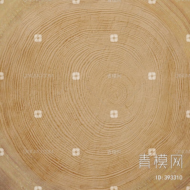木纹年轮