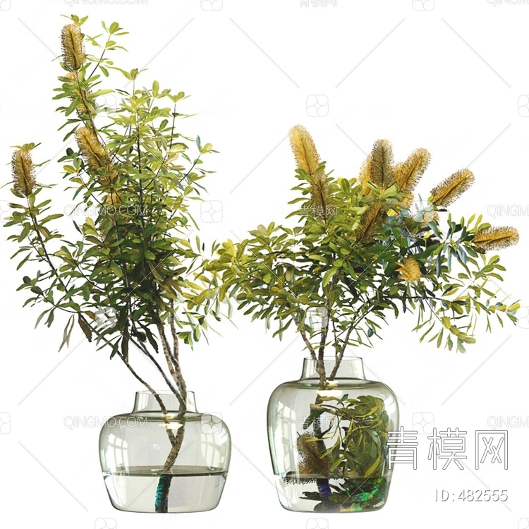 植物绿植花瓶