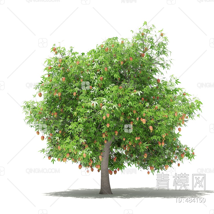 果树