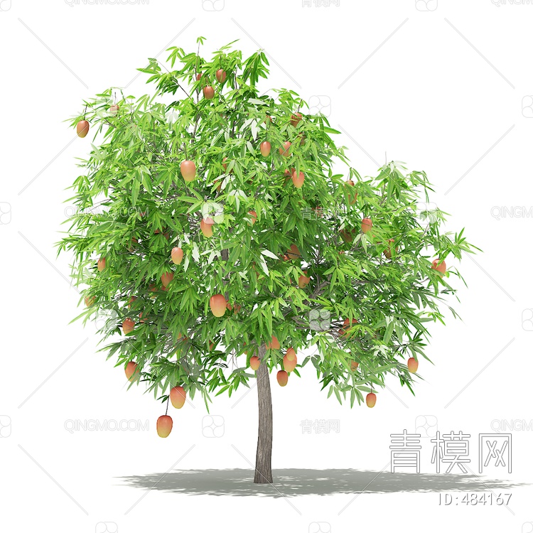 果树