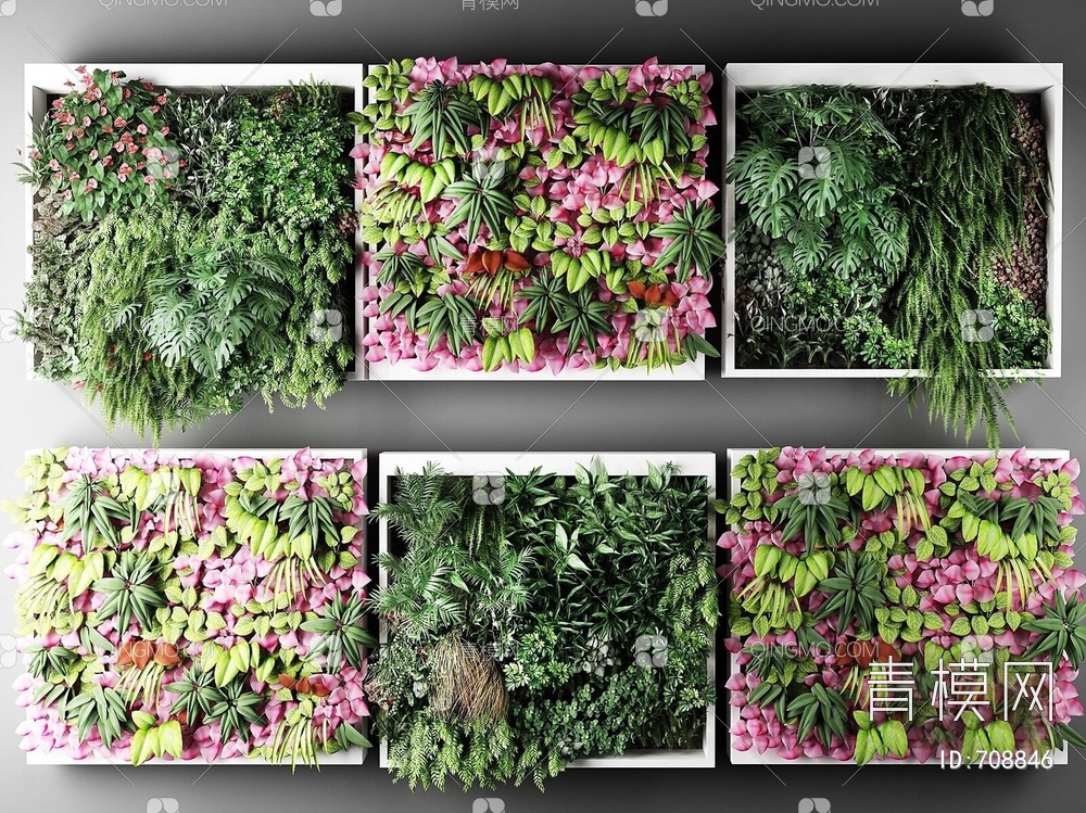 花艺植物墙