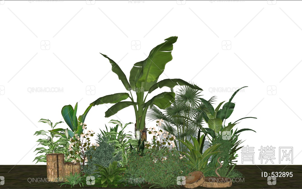 室外绿化植物