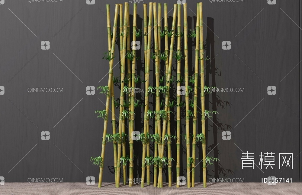 竹子 树木 干枝