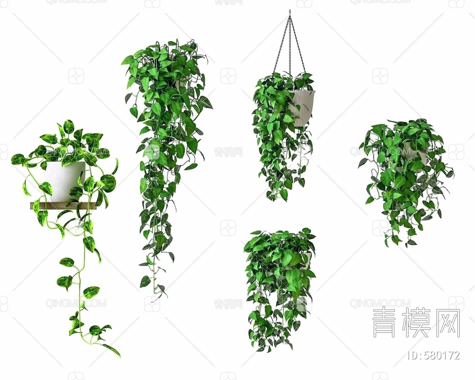 植物墙花盆吊篮