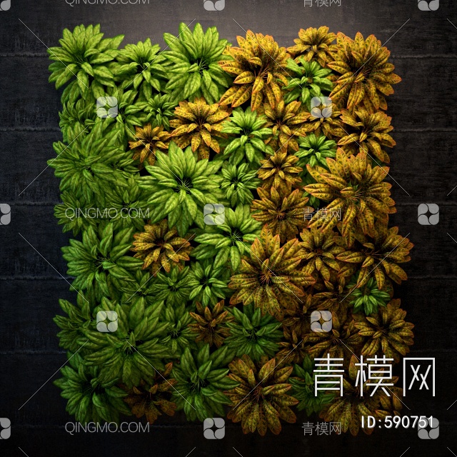 植物墙