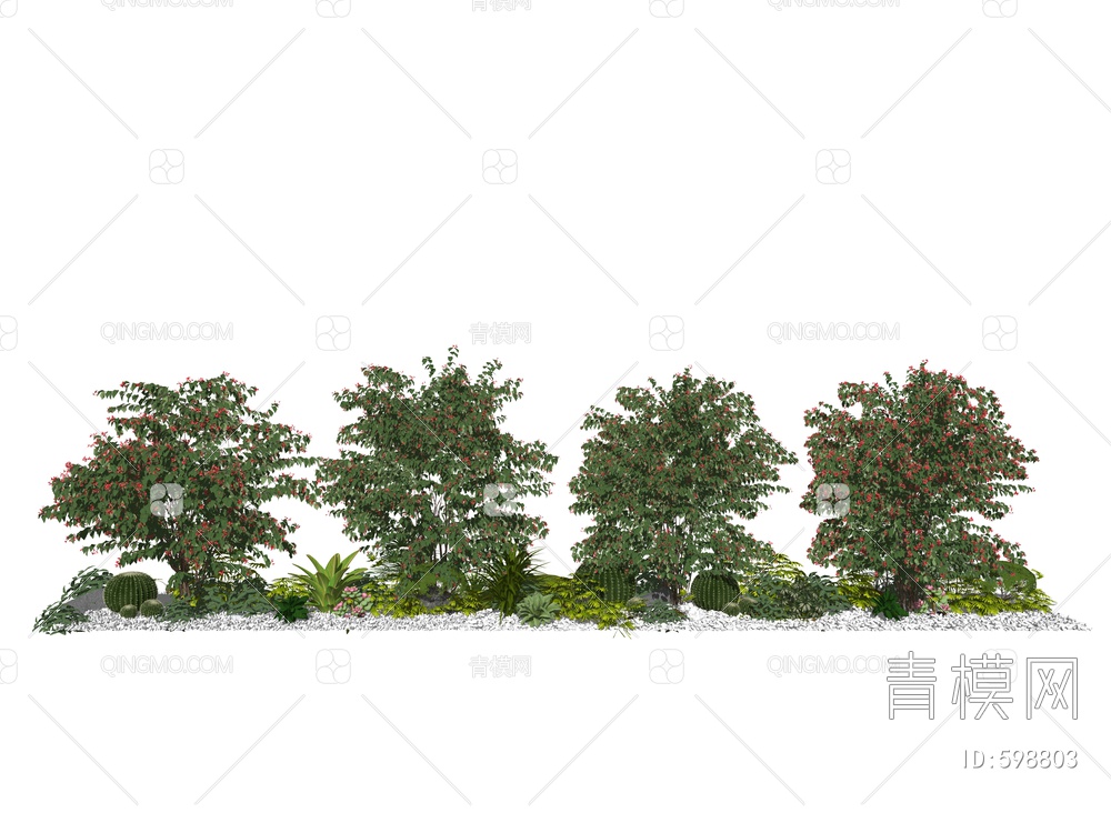 灌木矮树灌木景观植物