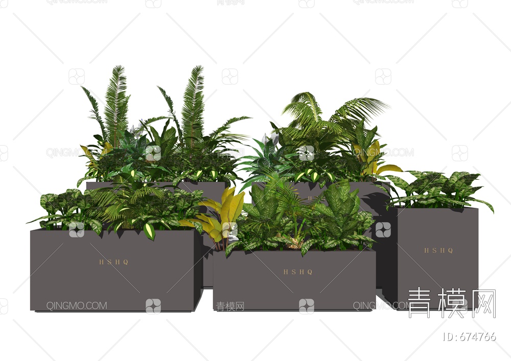 植物盆栽 绿植花箱