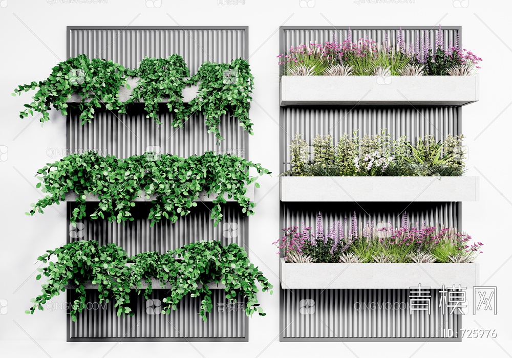 植物盆栽 植物墙