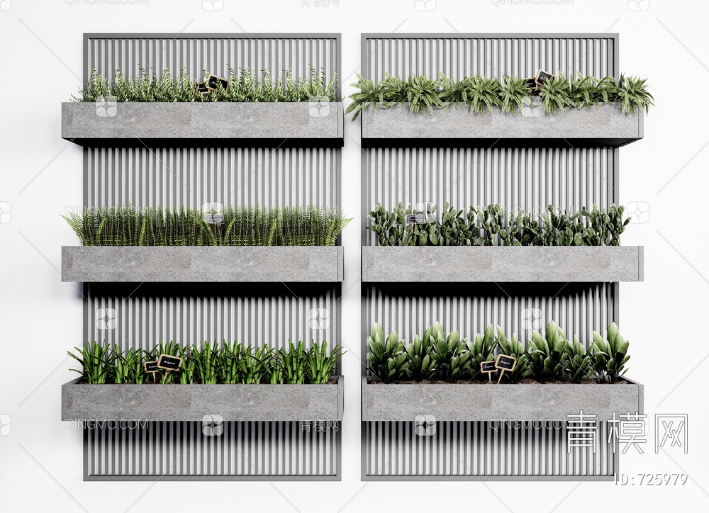 植物盆栽 绿植墙