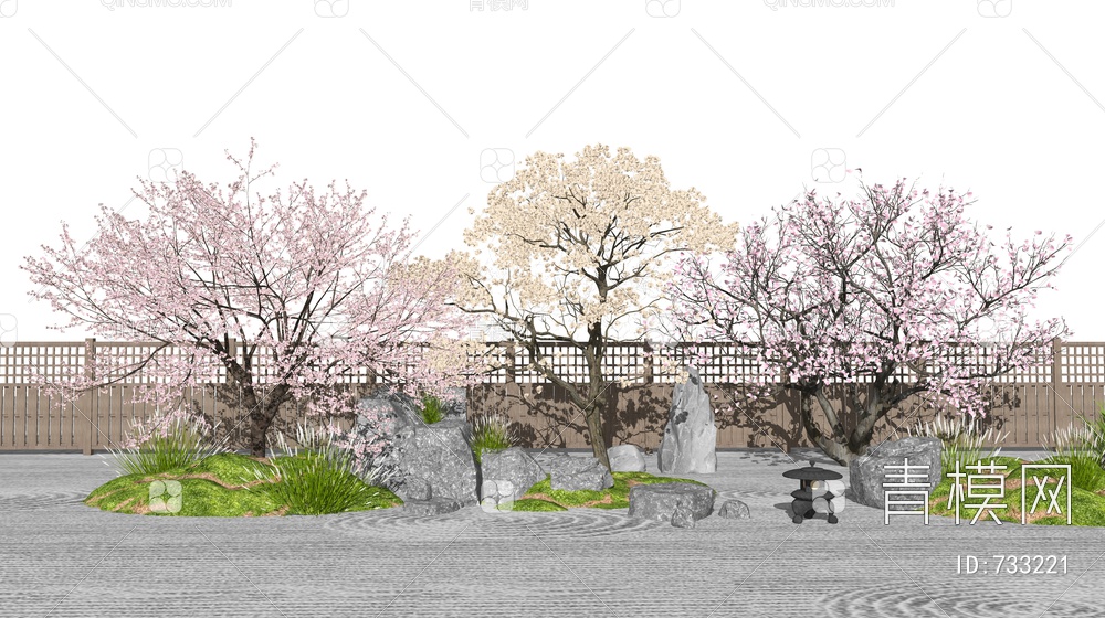 景观树 樱花树