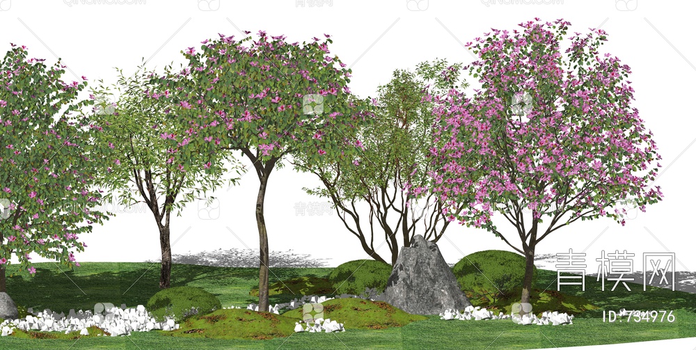 景观树 开花的树