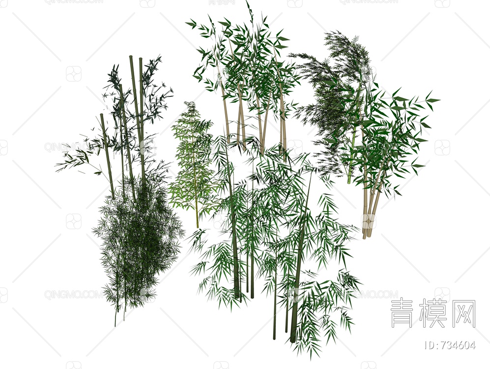 园林景观竹子竹子大全