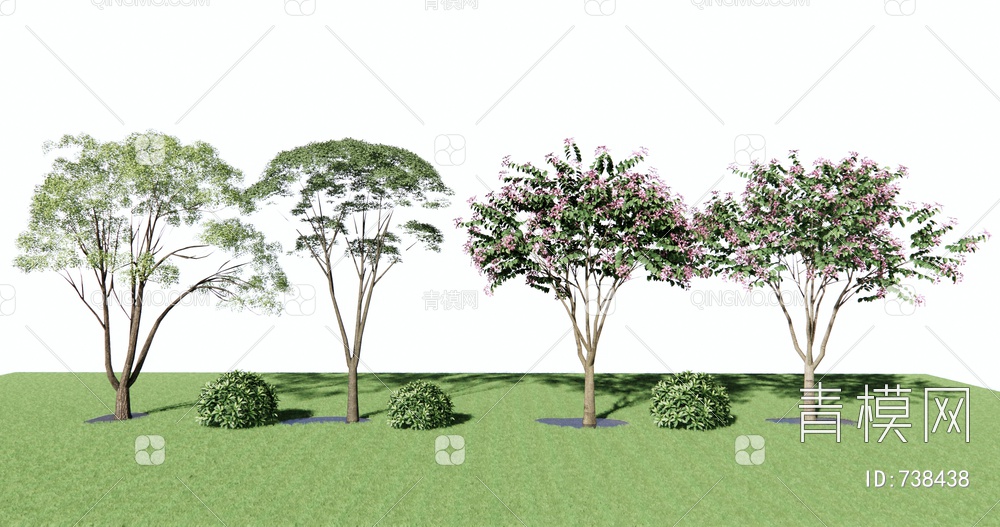 景观树 樱花树 灌木