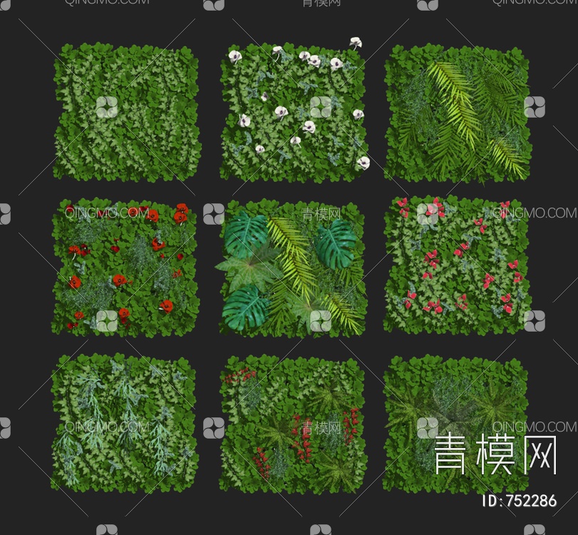 植物绿篱墙绿植墙