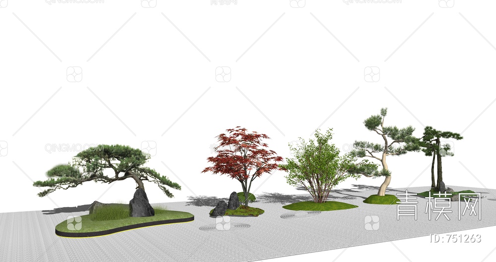 庭院景观树组合