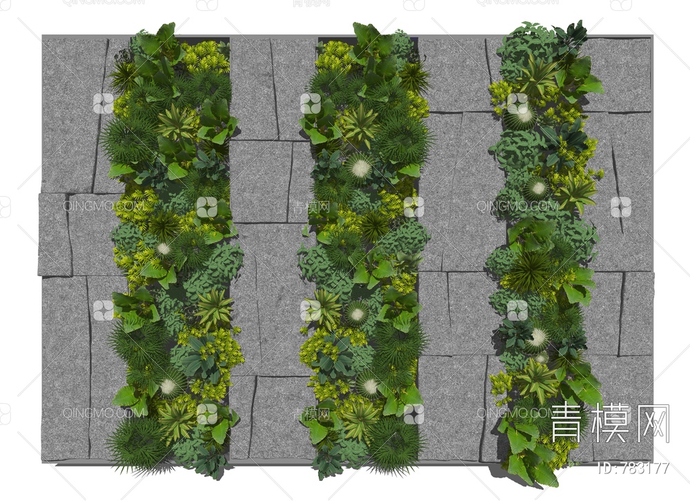 绿植墙 景观植物